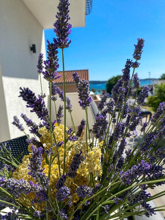 Apartments Dalmatino Vodice Exterior photo